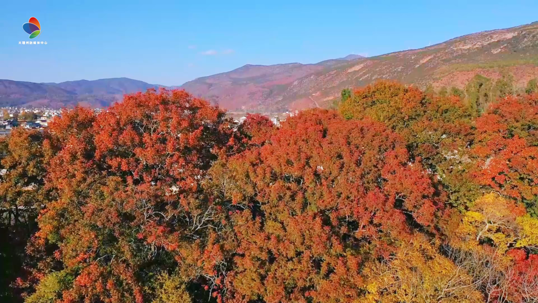 剑川桑岭，给你送来一张暖色系的冬日请柬~ #在大理爱上生活 #人类心灵栖居地