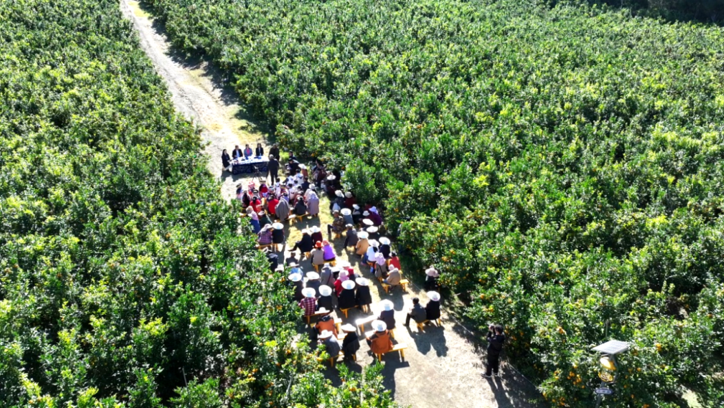 这场开在果园里的宣讲，“接地气、冒热气”！