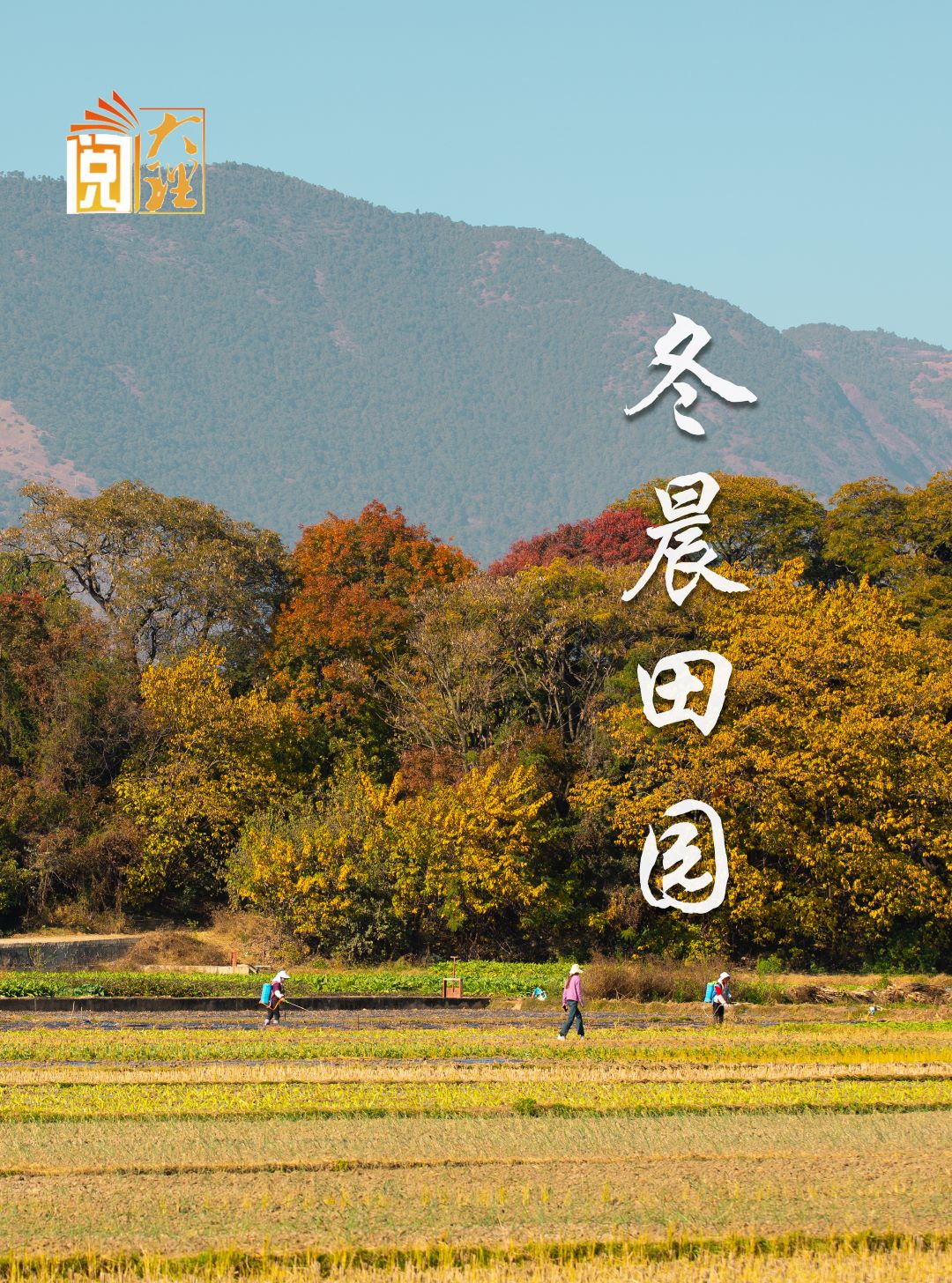 #在大理爱上生活 洱源冬晨的田园诗画 #这里是大理 #人类心灵栖居地  #阅读大理