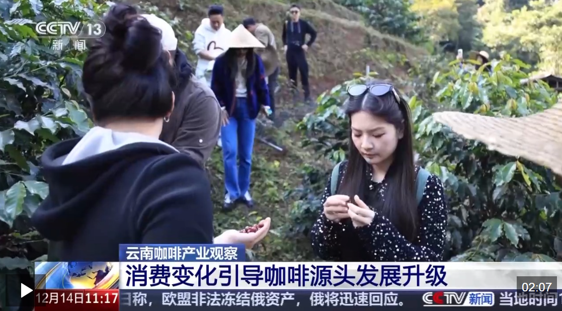 1765723303260019.png image.png