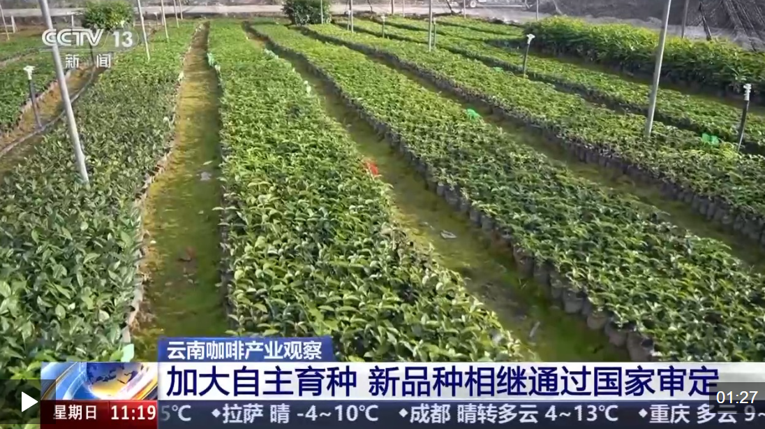 1765723518707787.png image.png