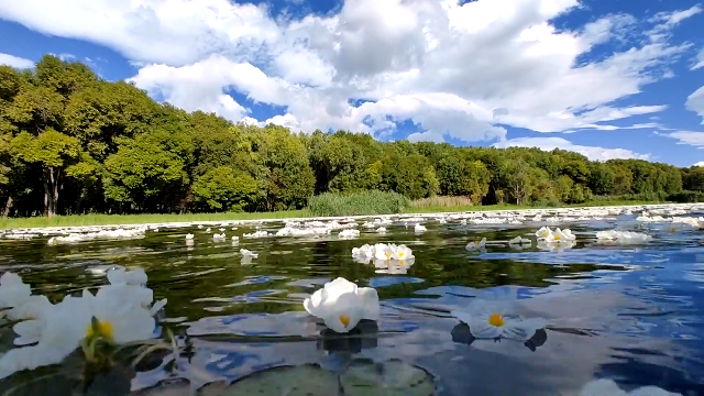 从“读数据”到“算生态”：“洱海指数”如何更新湖泊治理逻辑？
