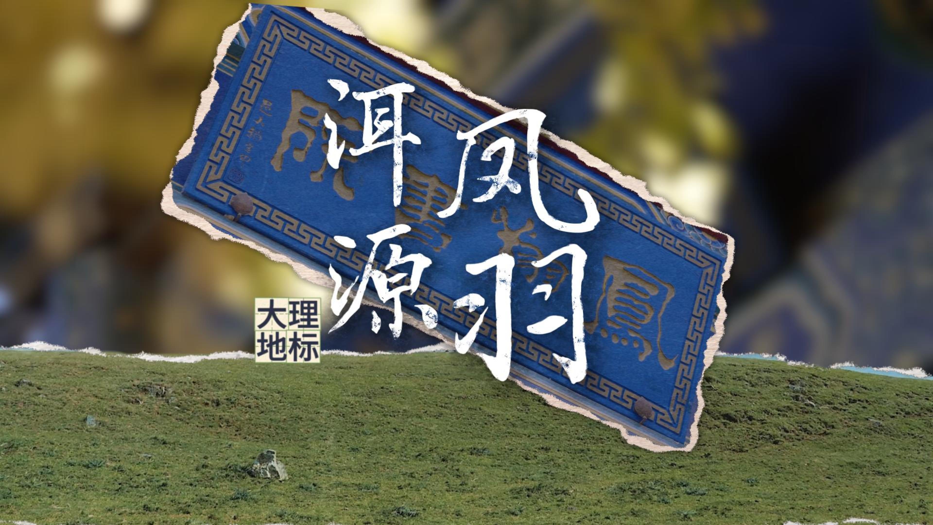 #在大理爱上生活 大理凤羽的“双面人生”#这里是大理 #人类心灵栖居地大理#大理地标