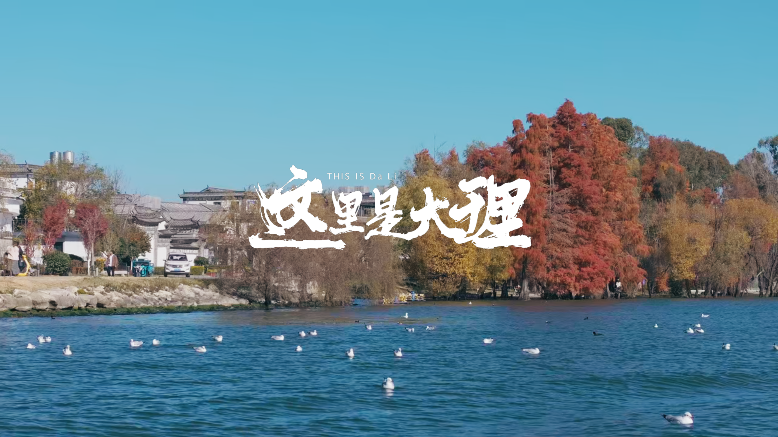 #在大理爱上生活 青瓦覆霜，洱海含光｜古生村的冬日留白#这里是大理 #人类心灵栖居地大理