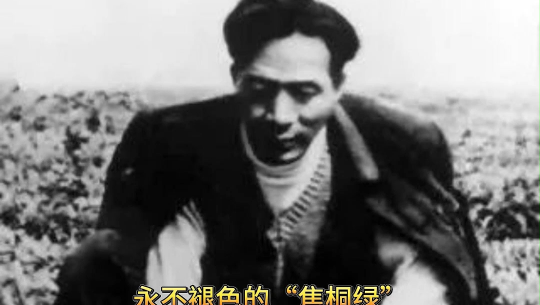 永不褪色的“焦桐绿”——焦裕禄的清廉丰碑 #清廉人物故事 #清廉文化 #清廉大理建设#清风润苍洱