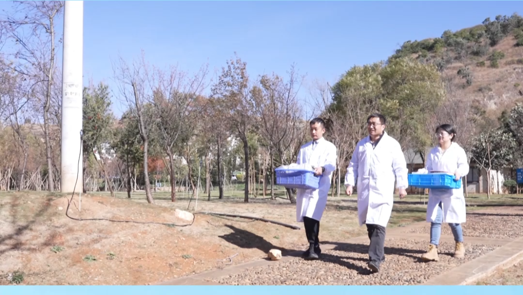 乘风破浪的洱海“科研人” 以科技守护洱海清波 #洱海保护 #生态环境 #科研 #绿水青山