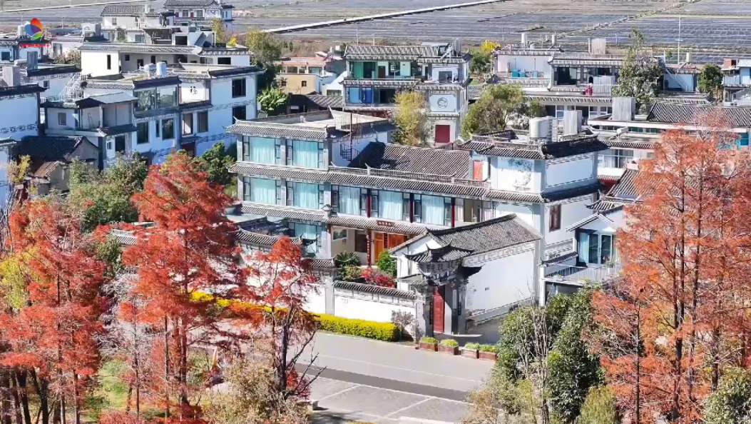 大理：“廊道经济”释放绿色生态红利#在大理爱上生活