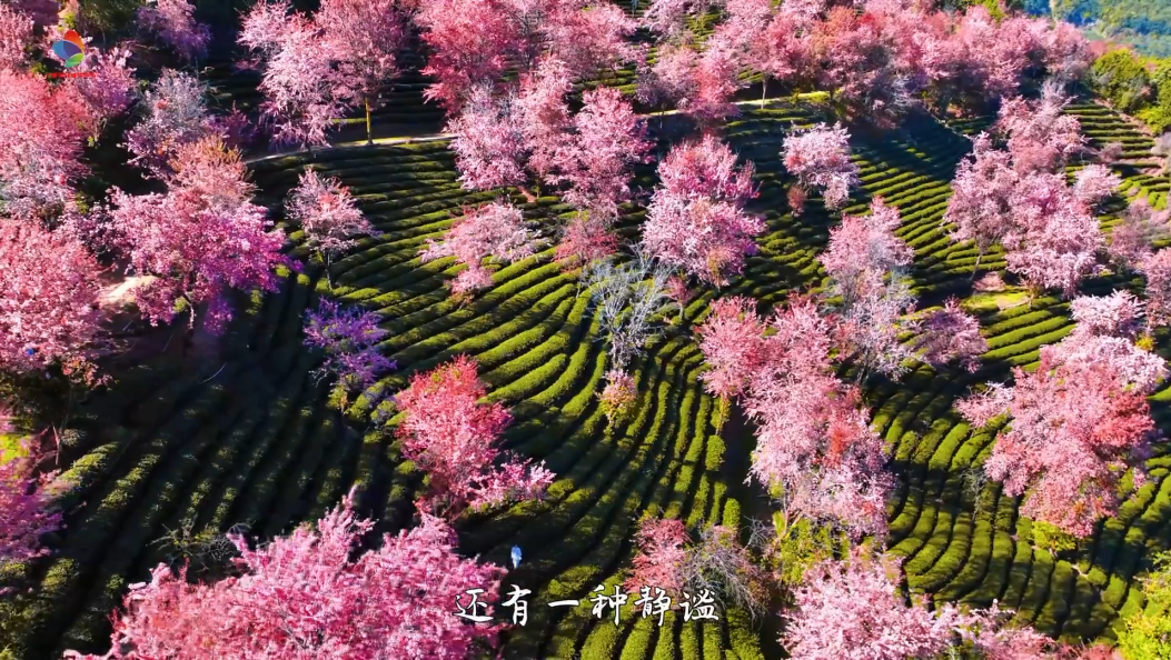 冬日，到南涧赴一场心灵的诗意之约