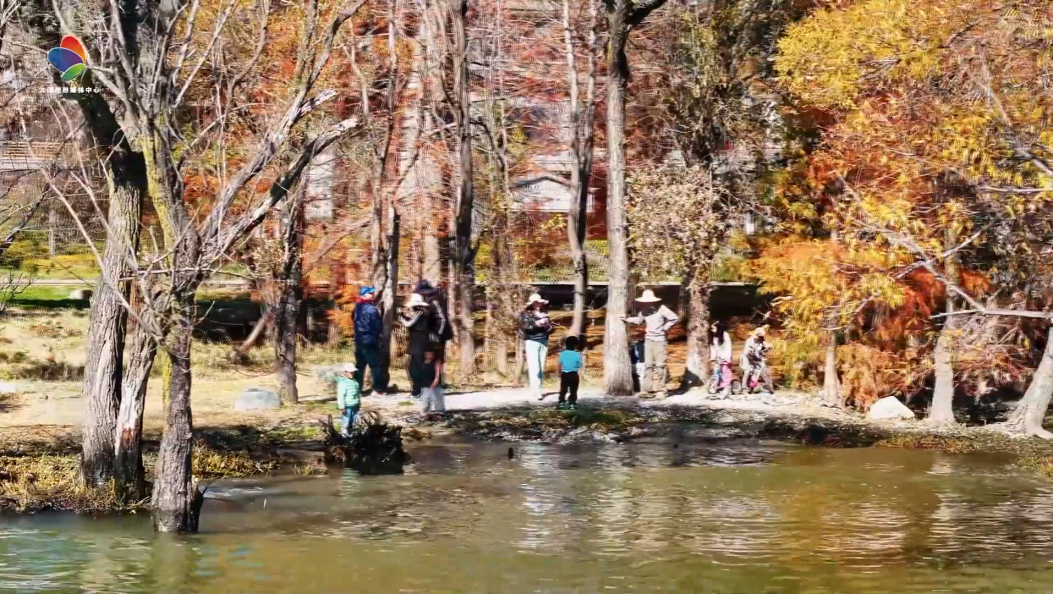 古生留白 静墨苍洱