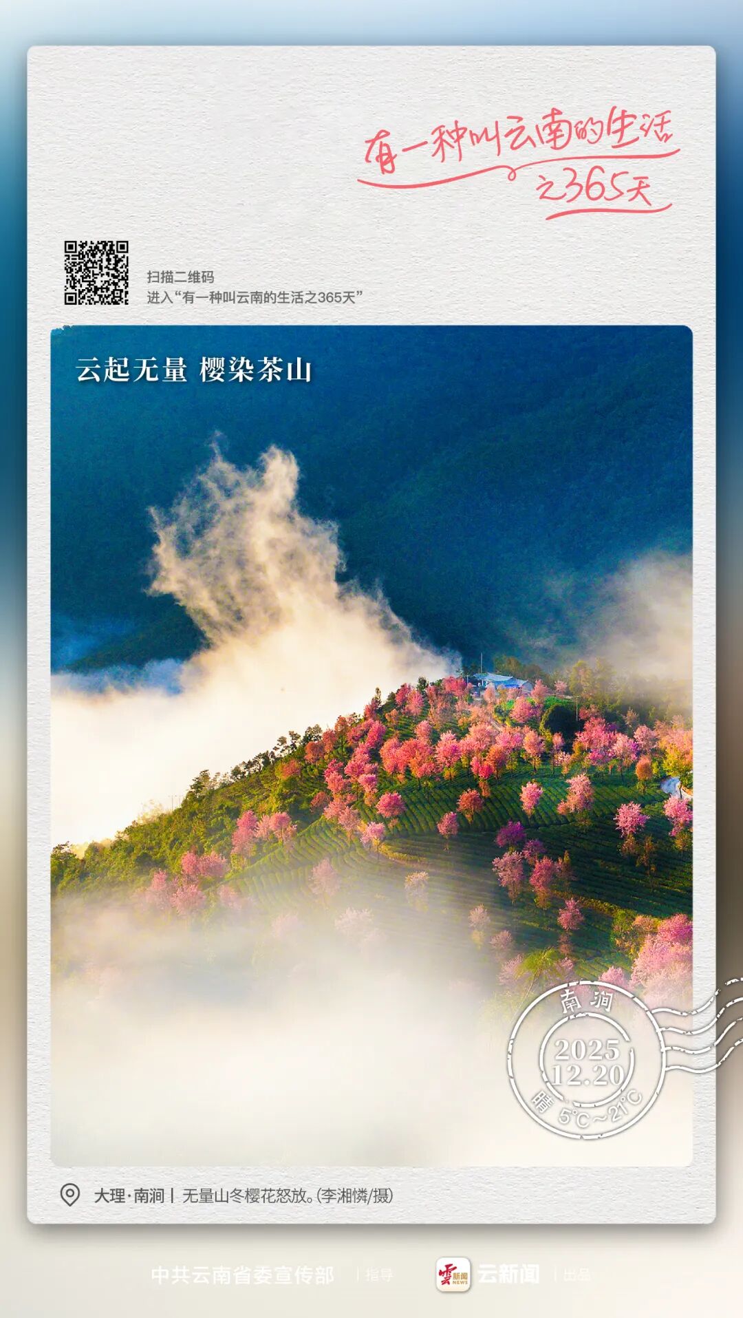 冬至，这里花已成海丨有一种叫云南的生活之365天