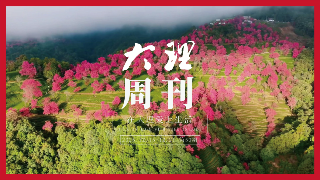 本周荟萃 #在大理爱上生活 #人类心灵栖居地大理 #大理周刊