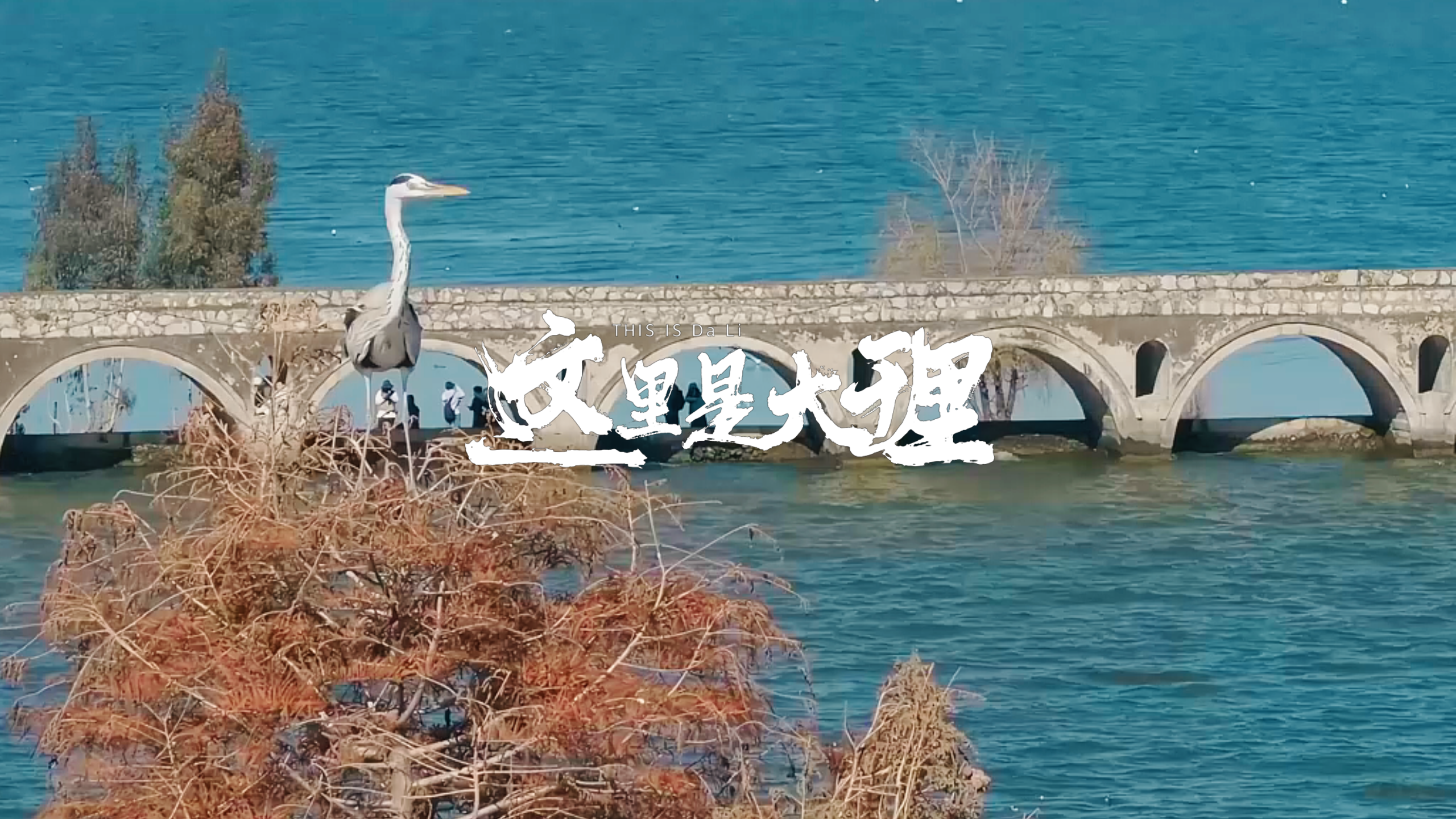 #在大理爱上生活 旧桥渡时光  新景留印象  冬日的大理超治愈#这里是大理 #人类心灵栖居地大理