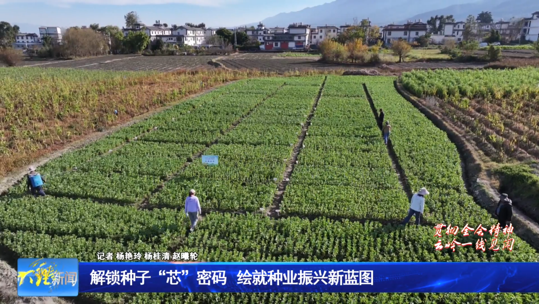 解锁种子“芯”密码 绘就种业振兴新蓝图