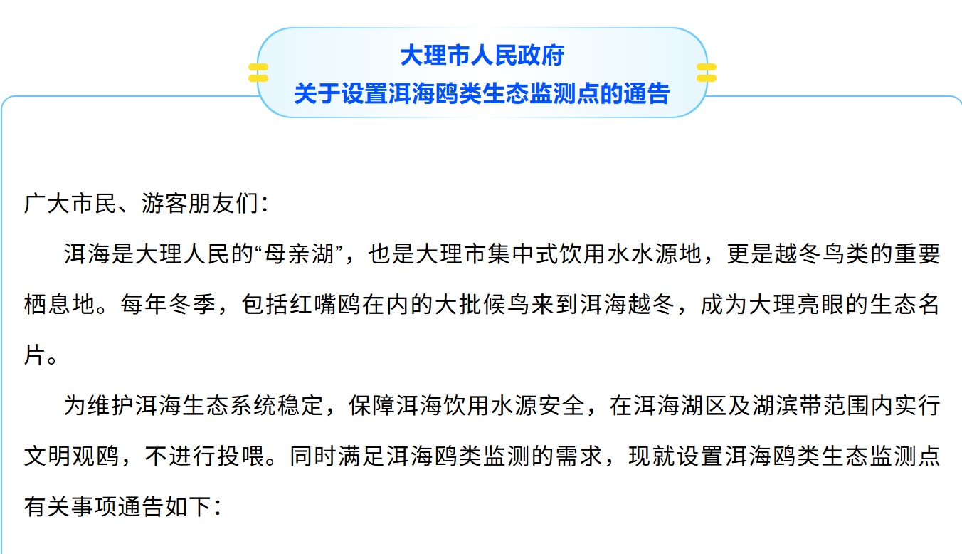 大理为红嘴鸥开设“文明食堂”！想要喂鸥来这儿→