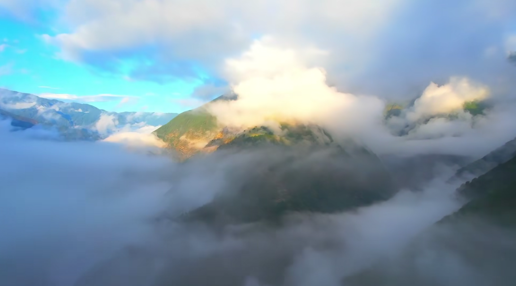 大理云龙县：守护生物宝库 点亮绿色动能