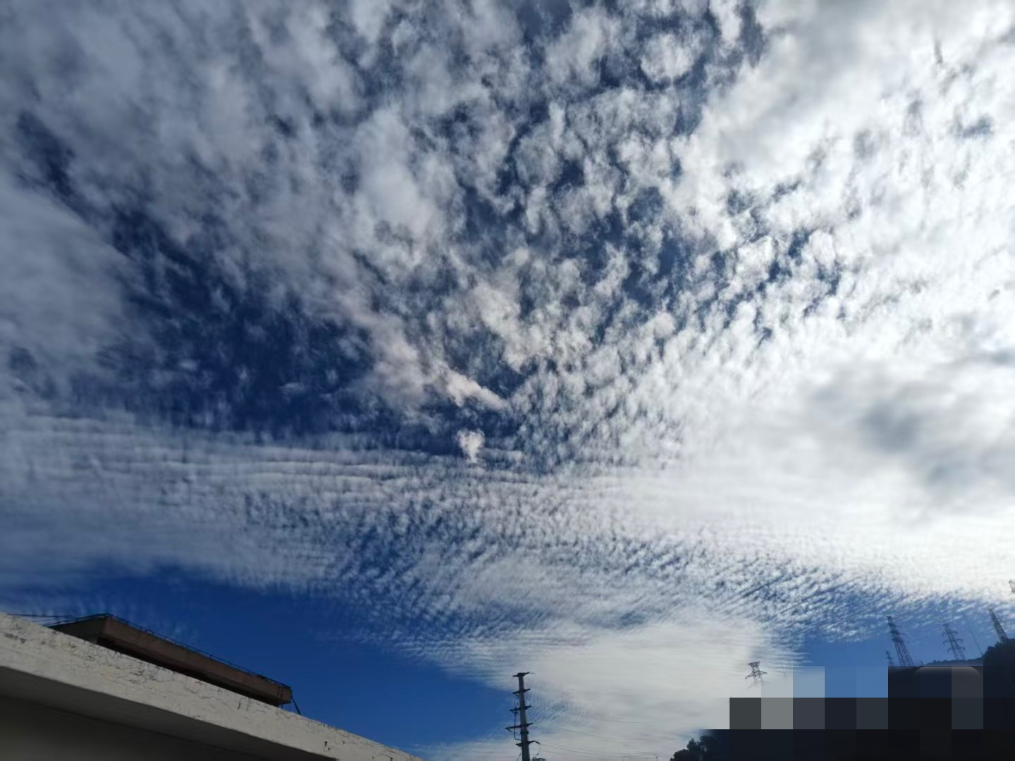 大理重点招商引资项目合作、物流产业规划、高原特色农业支持.....这些问题有回复了