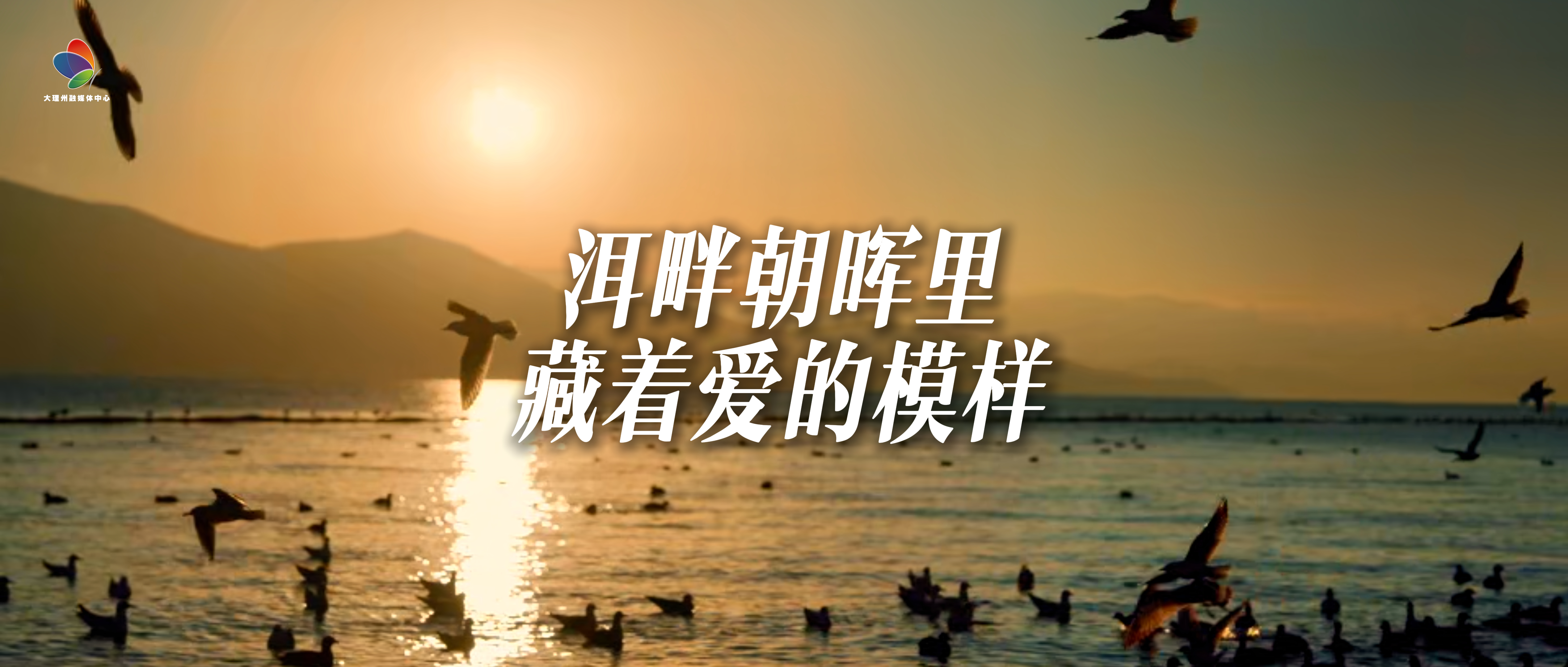 #在大理爱上生活 洱畔朝晖里 藏着爱的模样 #这里是大理 #人类心灵栖居地大理