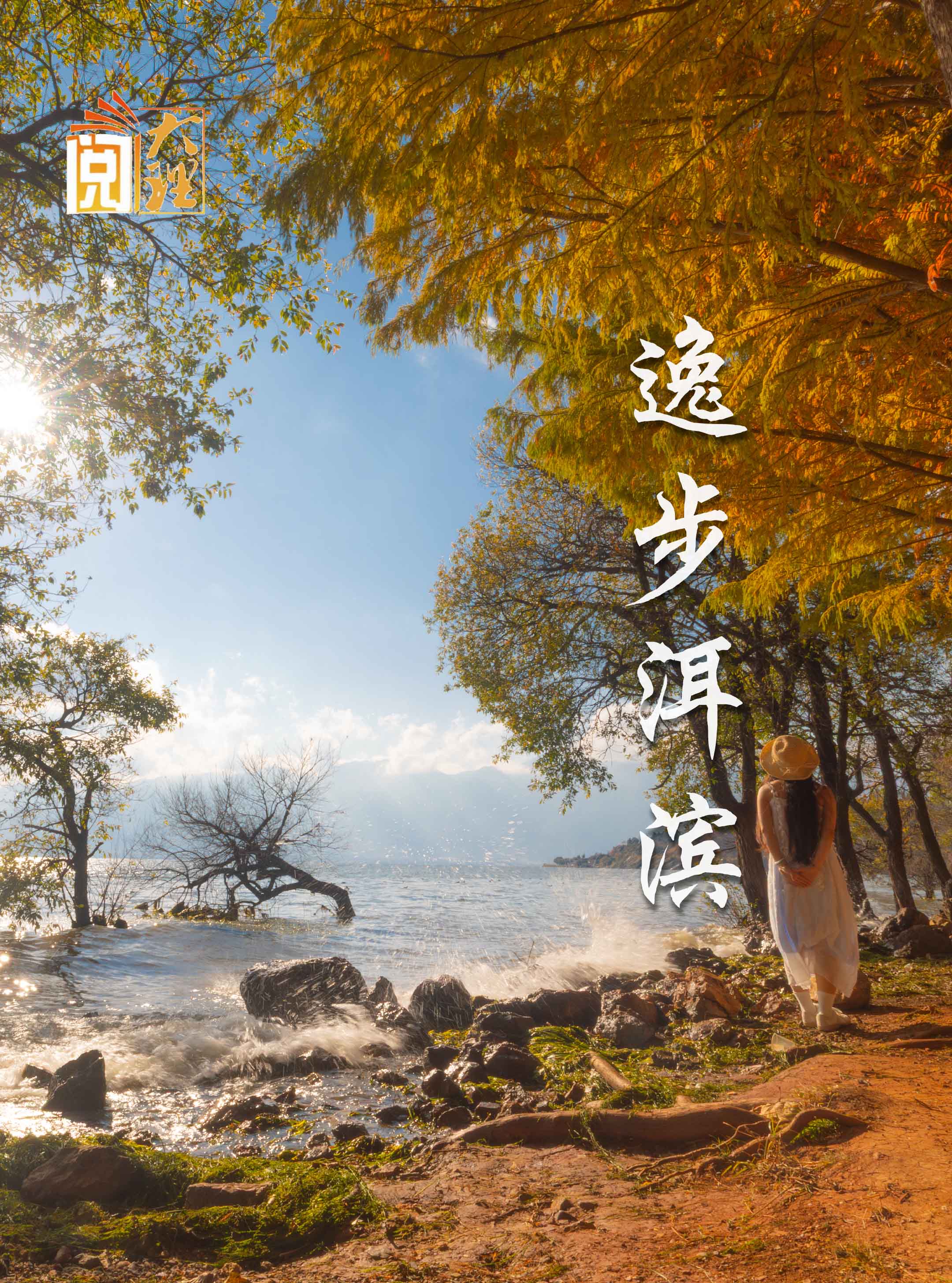 #在大理爱上生活 逸步洱滨#这里是大理 #人类心灵栖居地大理  #阅读大理