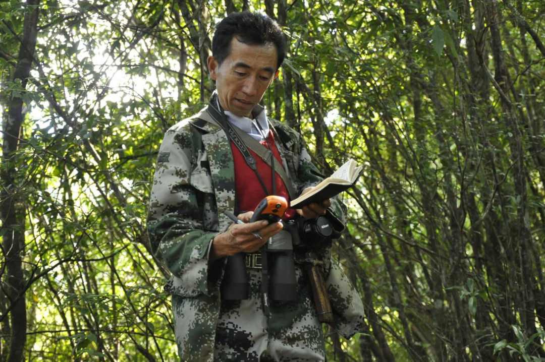 为南涧的他点赞！与黑熊周旋、与盗猎者斗争……36载守护无量山