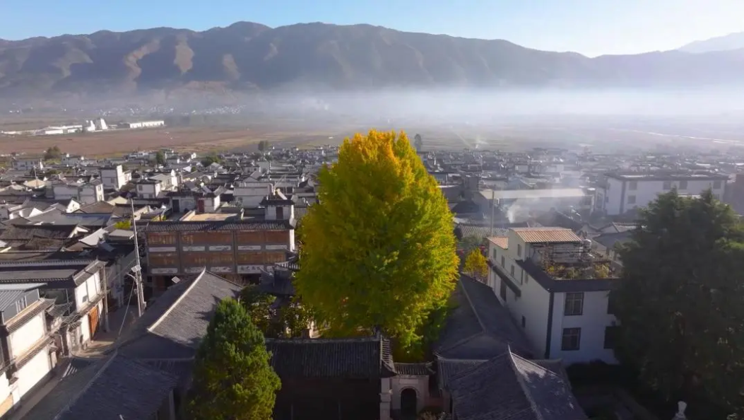 松口气，到苍洱画廊间探寻大理悉心编织的“康养密码”