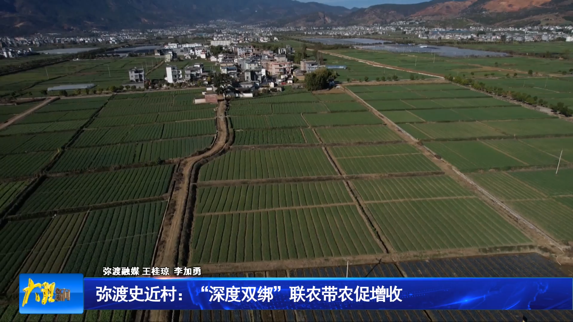 弥渡史近村：“深度双绑”联农带农促增收