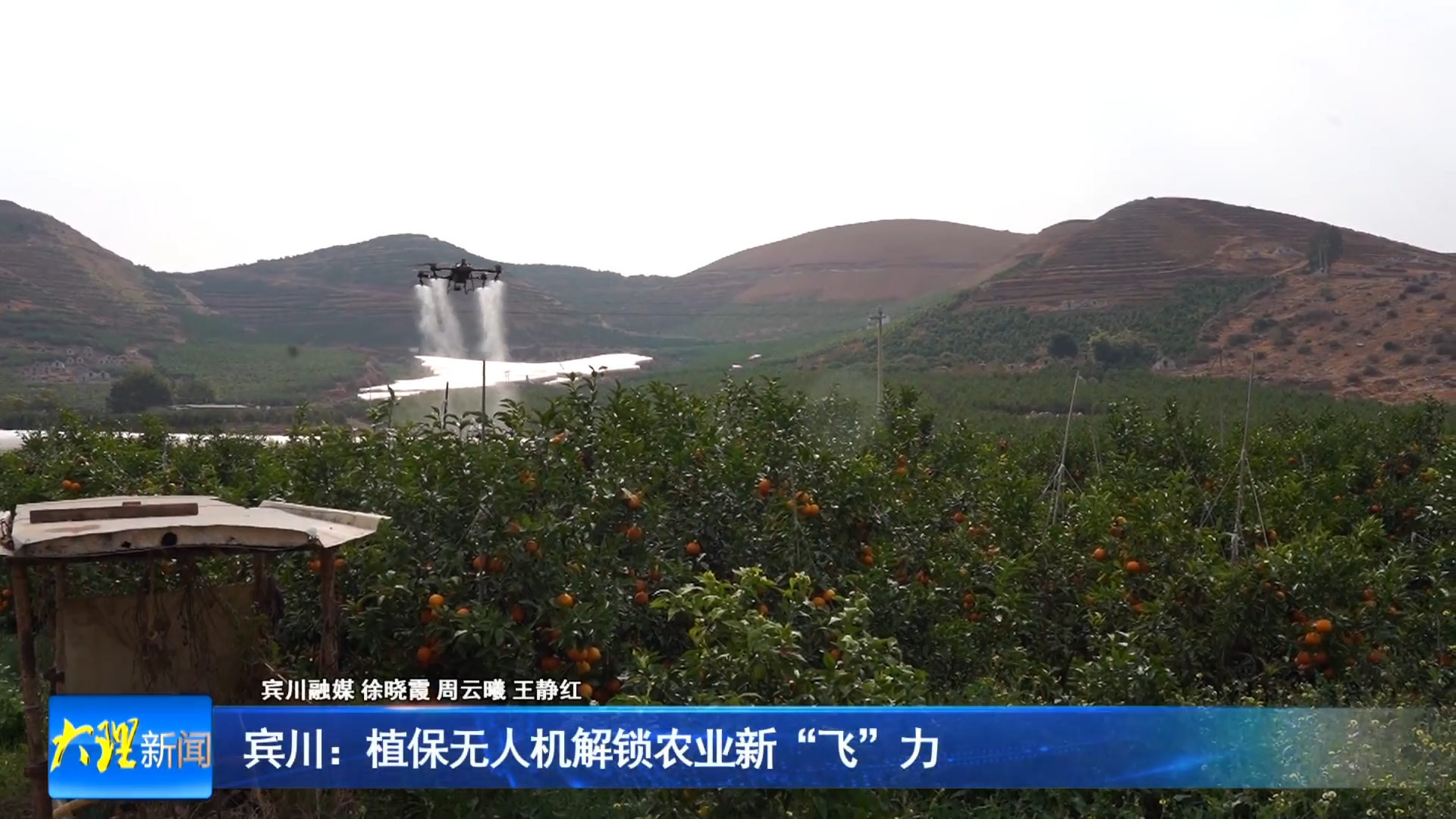 宾川：植保无人机解锁农业新“飞”力