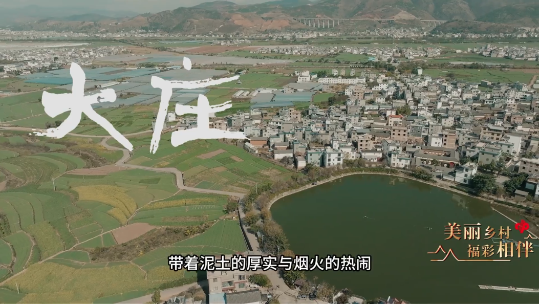 曾说大理第470期