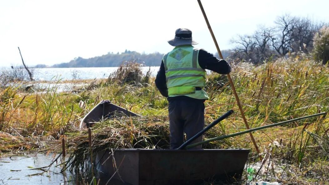 冬日“梳妆” 为洱海“减负”，收割的是水草 守护的是碧水~