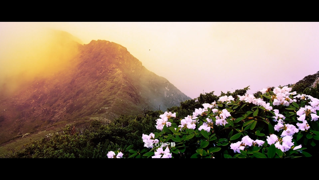 最美乡村之—剑川杨家村（大佛殿村）