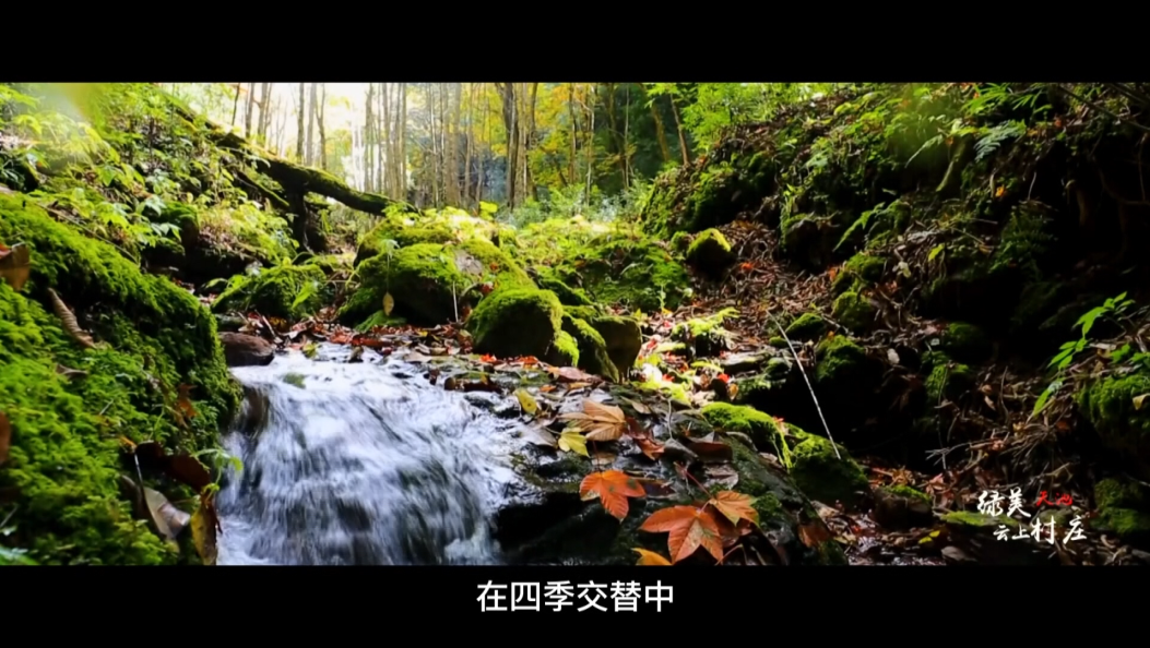 最美乡村之—云龙天池村