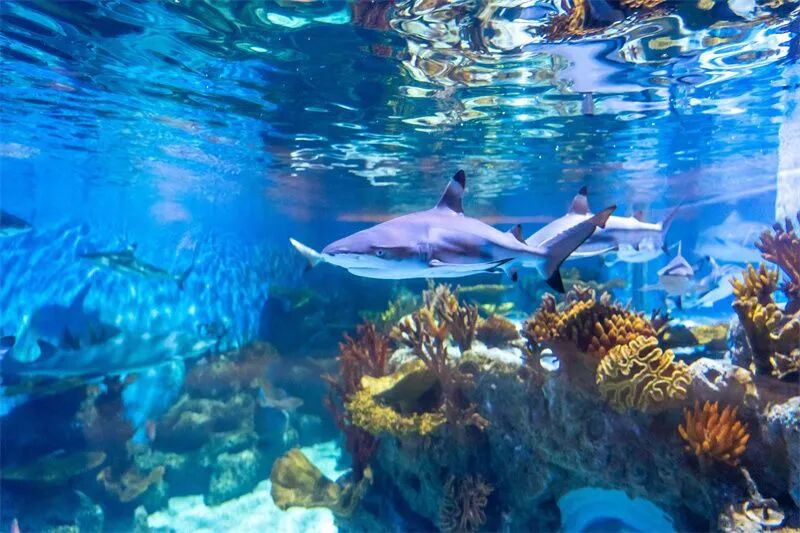 大理VS丽江即将开赛！超多福利等你来享