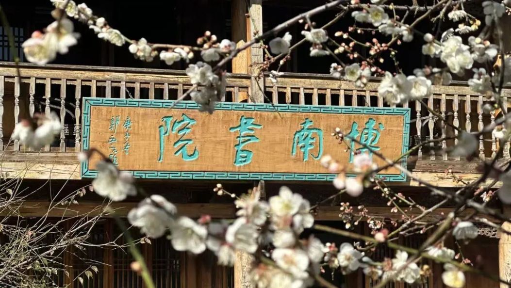 有“梅”有人告诉你 永平八百年古梅花开啦~