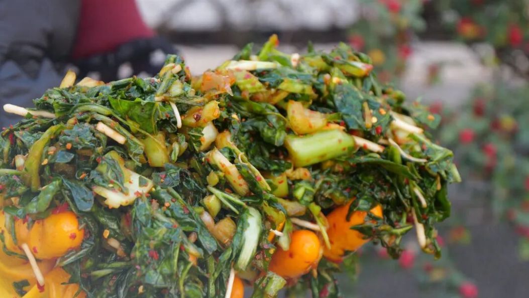 天越冷，这菜越香！鹤庆酸腌菜：冬日限定的“下饭黄金”~