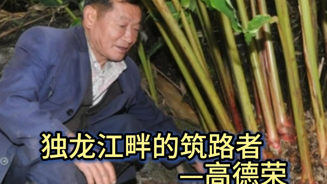 《致敬榜样》：独龙江畔的“筑路者”——高德荣 #时代楷模 #致敬榜样 #文明新风拂白州