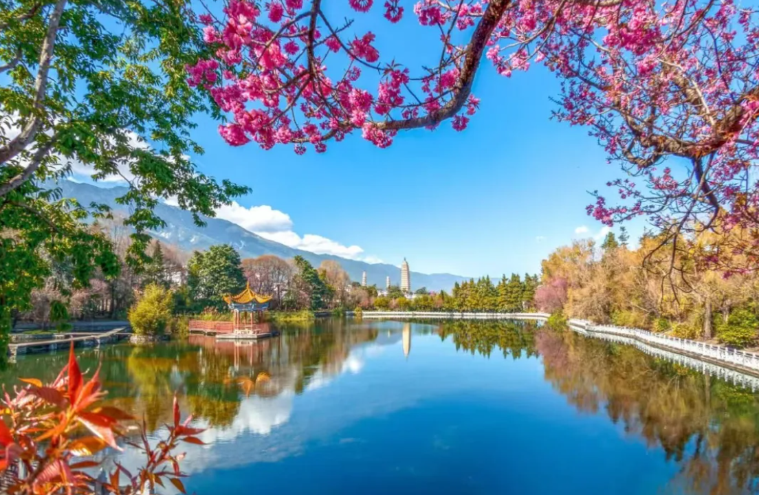 大理位列No.32！2025年中国内地城市海外网络传播力总排名榜单公布↓