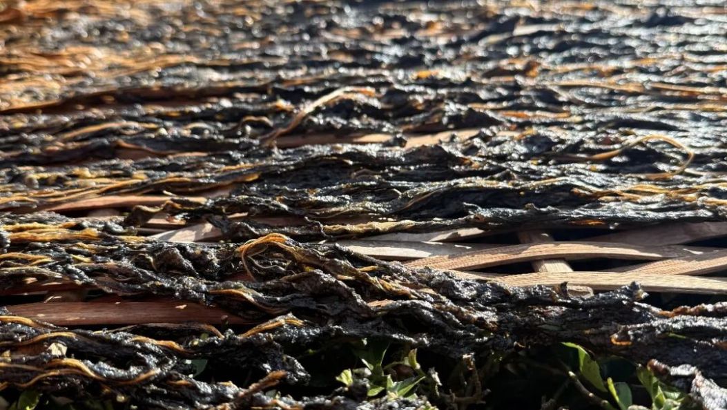 一年增收超40万！腾冲这个村把干腌菜做成爆款丨在云南样样好