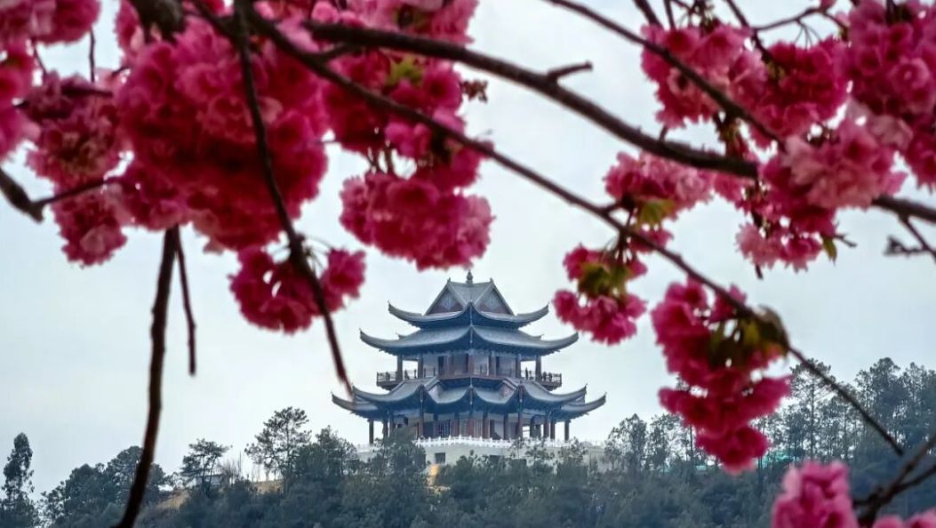 活力永胜丨凤凰楼——永胜名胜新地标