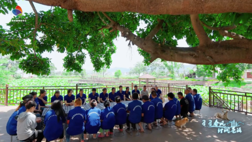 习习春风 理润苍洱 | 第二十期：“一村一策”绘就大理“富春山居图”