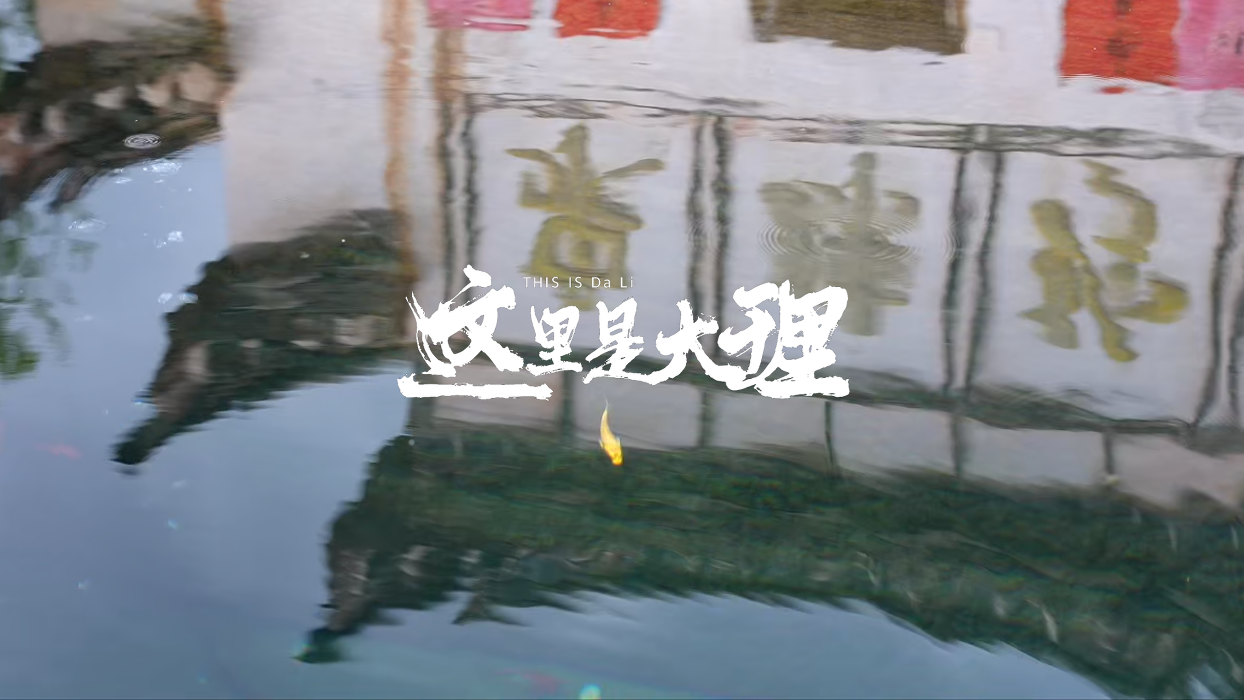 #在大理爱上生活 听一曲《小河淌水》，醉在密祉的烟火人间#这里是大理 #人类心灵栖居地大理
