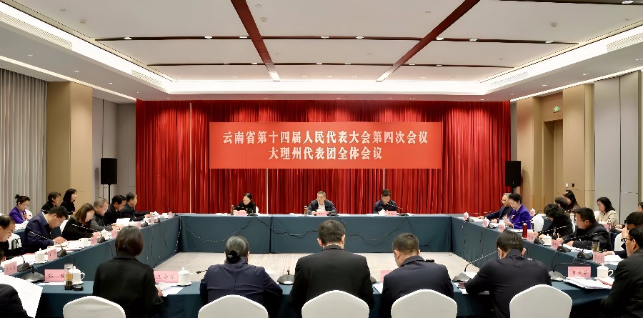 省十四届人大四次会议大理代表团举行全体会议