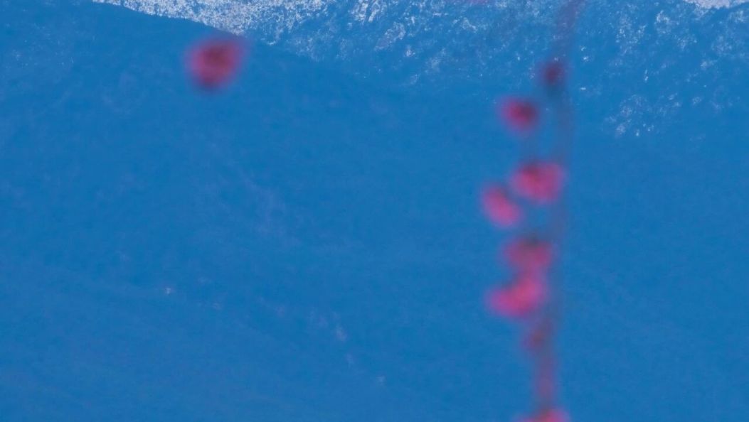 这样的大理，谁能不心动？