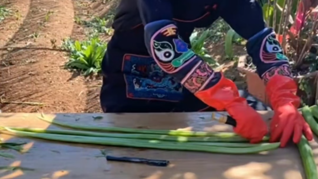 手机“新农具”，直播“新农活”！看宾川贡菜哥用手机直播实现增收#大理 #直播带货