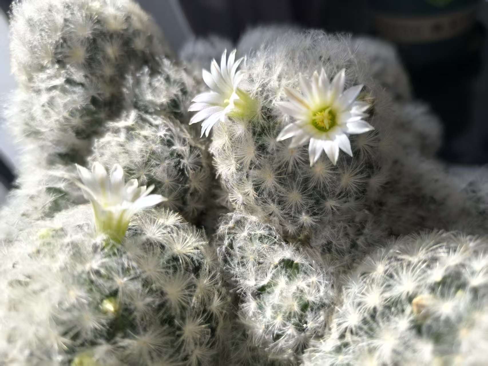 连续9天！春节假期小客车上高速免收通行费