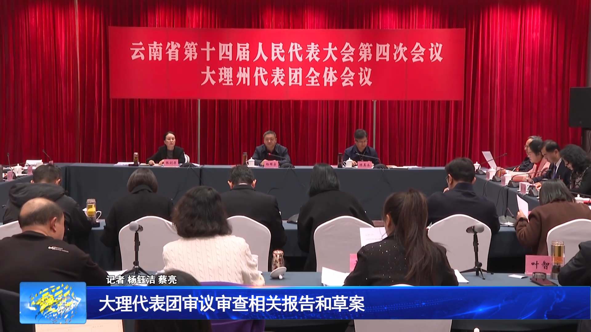 大理代表团审议审查相关报告和草案