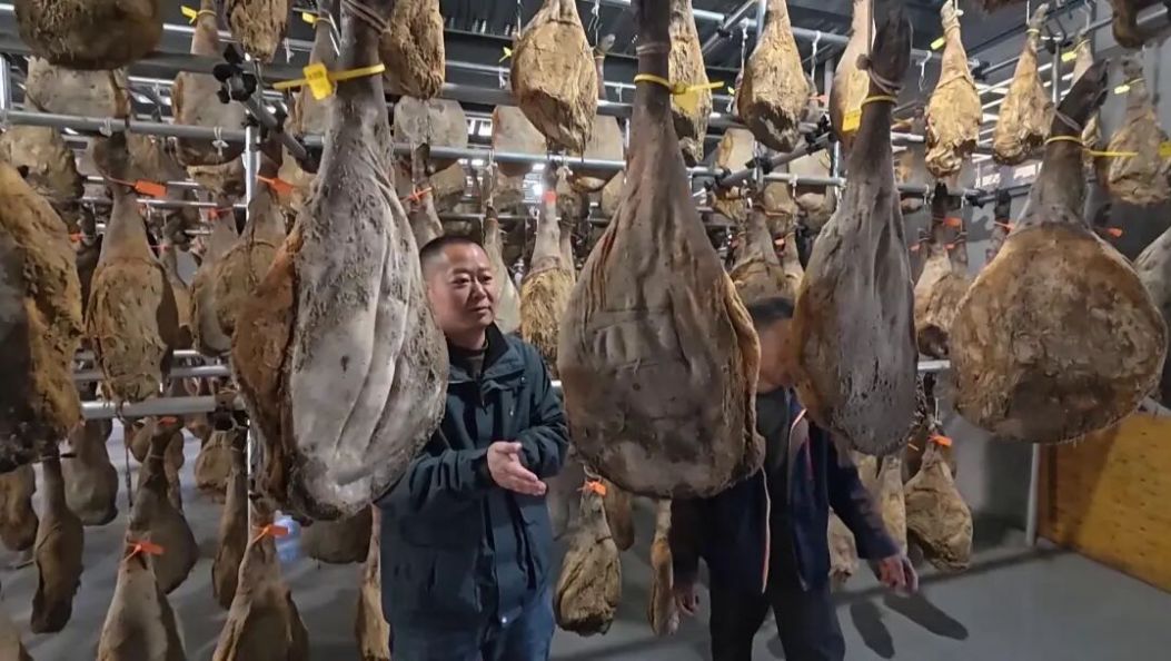 代表委员风采 | 阿承文：初心为墨 实干为笔 绘就乡村振兴新画卷