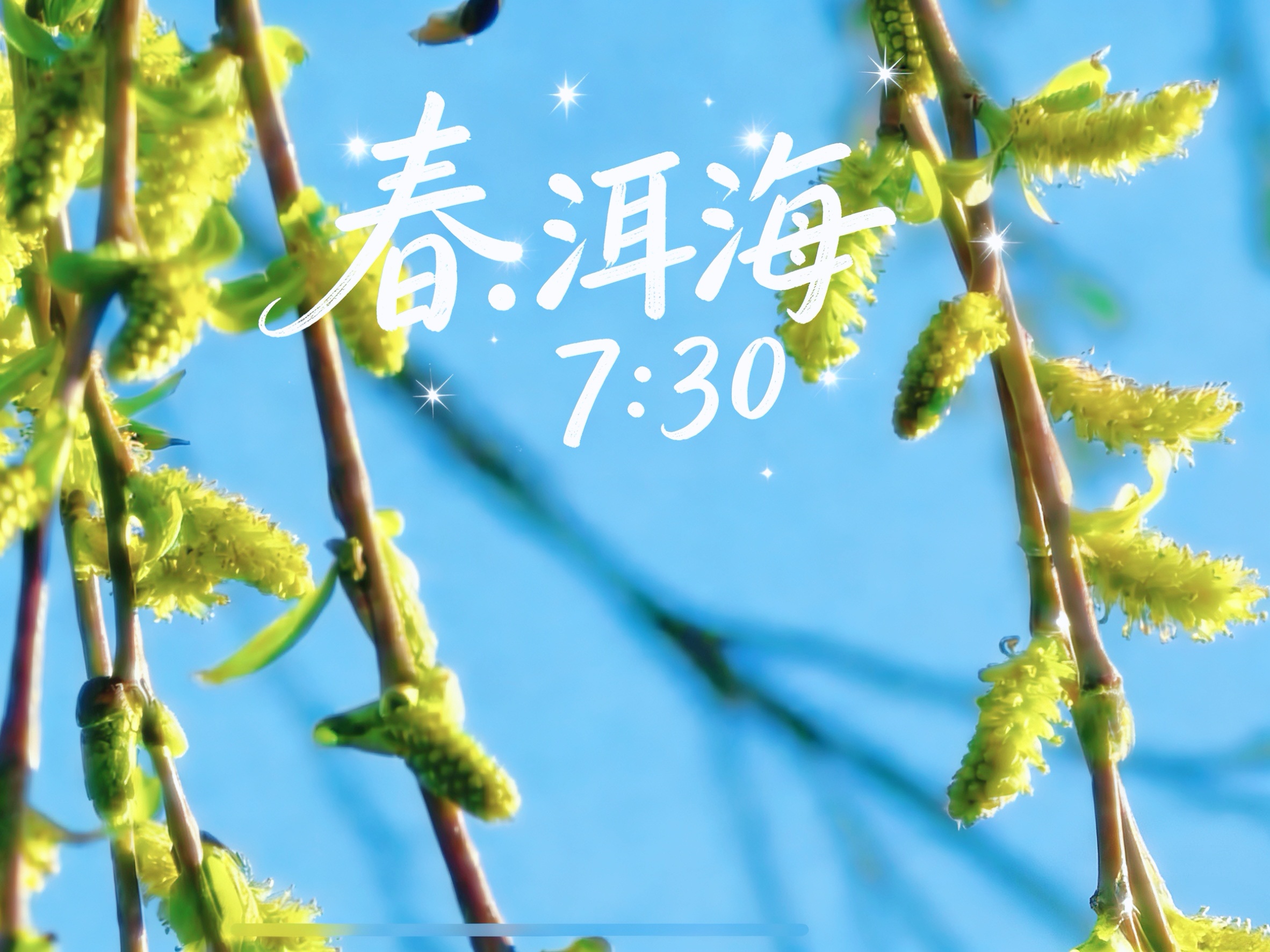 嫩绿的柳芽、金黄的油菜花，还有粉的、白的各种花次第开放······阳和启蛰，品物皆春，春回大理。大自然赠与大理的不只是美 #春·洱海7:30 #在大理爱上生活