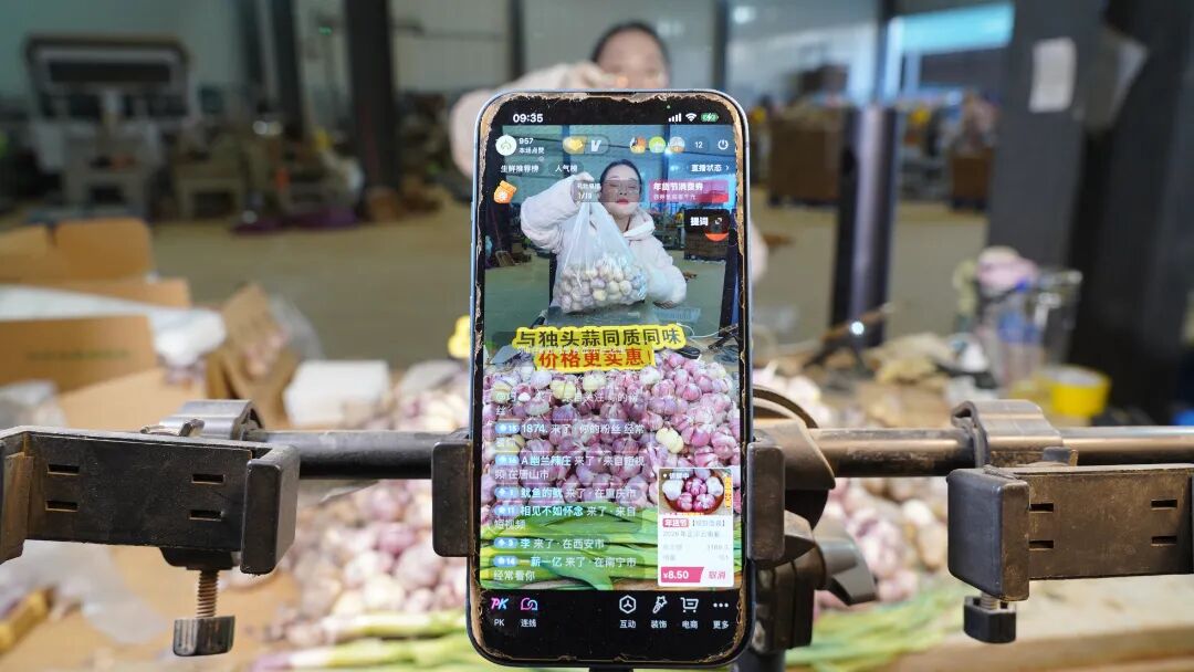 宾川200多名主播轮番上，“爆单”！