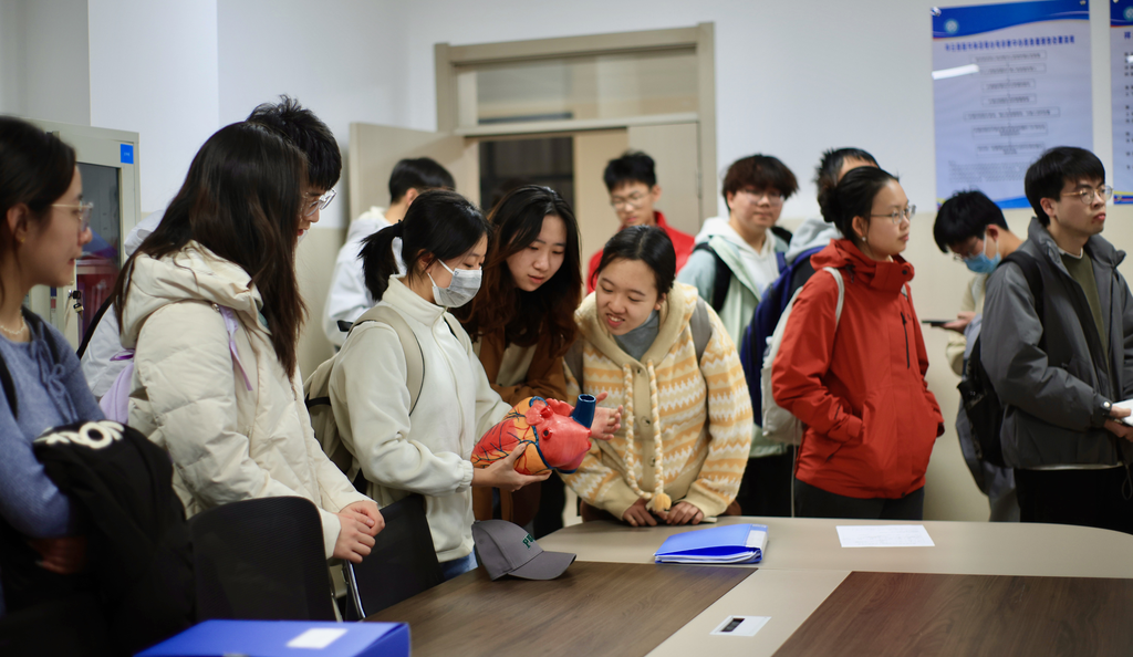 清华学子赴大理开展基层医疗实践，为滇西医疗发展注入“青”动能