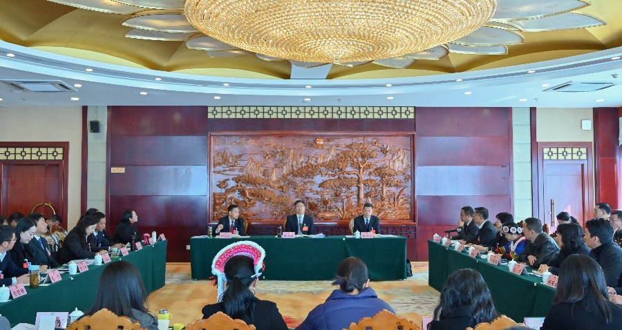 陈真永参加州政协十四届五次会议委员分组讨论时强调 坚持教育优先发展 厚植大理竞争优势