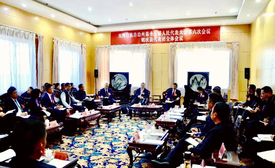 杨国宗参加鹤庆县代表团审议审查时强调 发挥优势 拉高标杆 争先进位 在全州发展大局中当先锋作表率